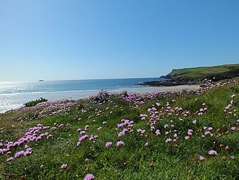 Photo Gallery Image - Views over Polzeath beach